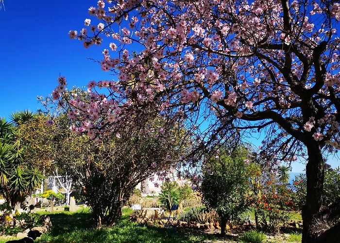 Dulce Maikel 度假居 *