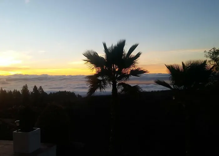 Dulce Maikel 格拉纳迪利亚-德阿沃纳