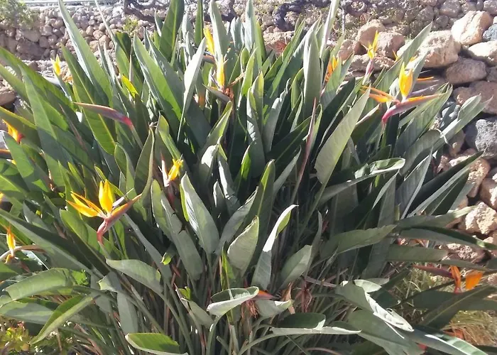 度假居 Dulce Maikel *