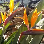 Dulce