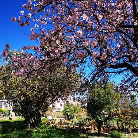 Dulce Maikel Ferienhaus *