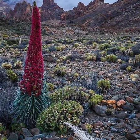 Dulce Maikel Dom wakacyjny Granadilla De Abona