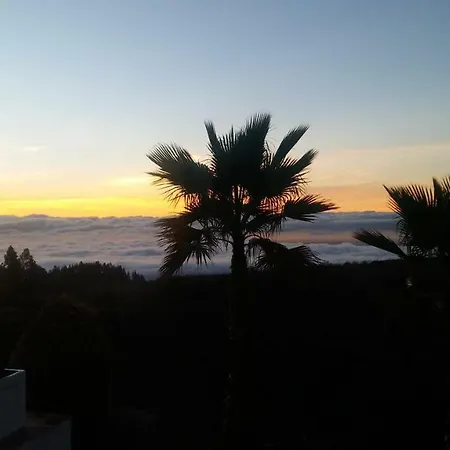 Dulce Maikel Granadilla De Abona