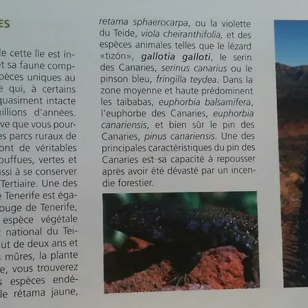 Dulce Maikel Ferienhaus