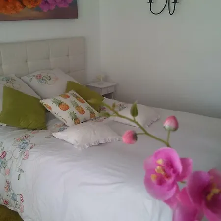 Dom wakacyjny Dulce Maikel