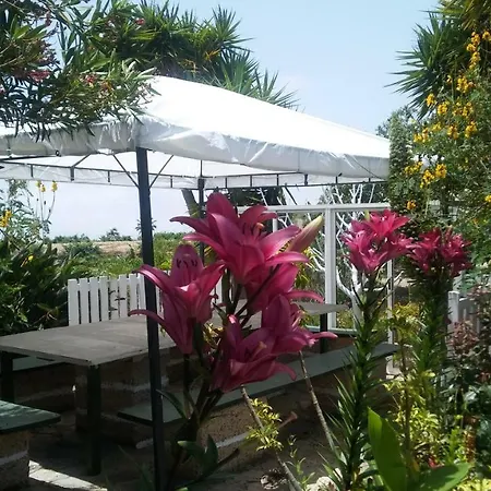 Dulce Maikel * Granadilla De Abona