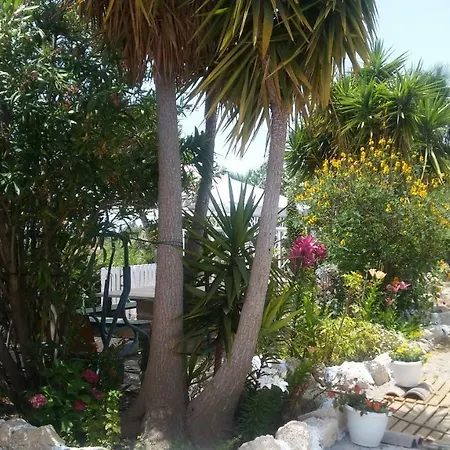 Dom wakacyjny Dulce Maikel *