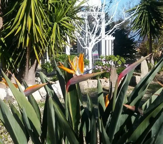 Dulce Maikel Granadilla de Abona