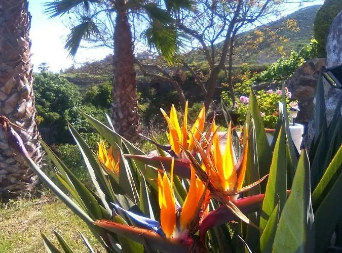 Dulce Maikel * Granadilla de Abona