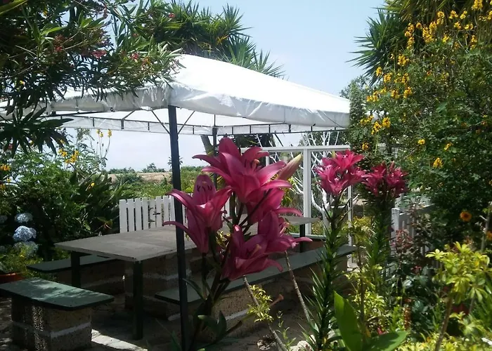 Dulce Maikel * 그라나딜라데아보나